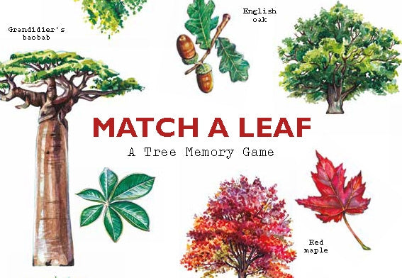Match a Leaf by Holly Exley, Tony Kirkham