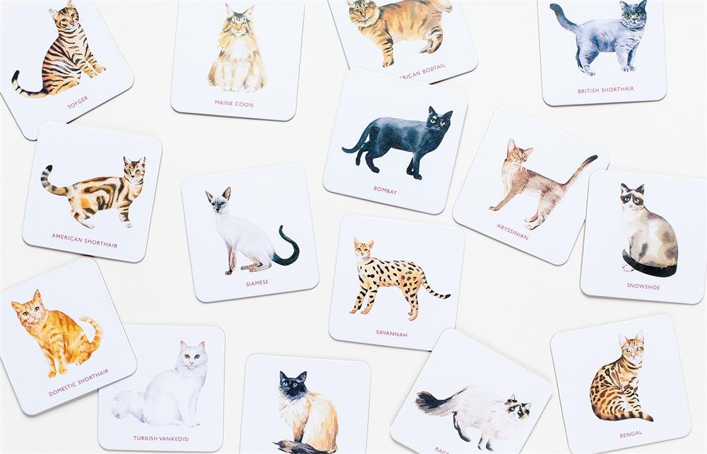 Cat Coasters by Laurence King Publishing