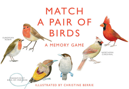 Match a Pair of Birds by Christine Berrie, Magma Publishing Ltd