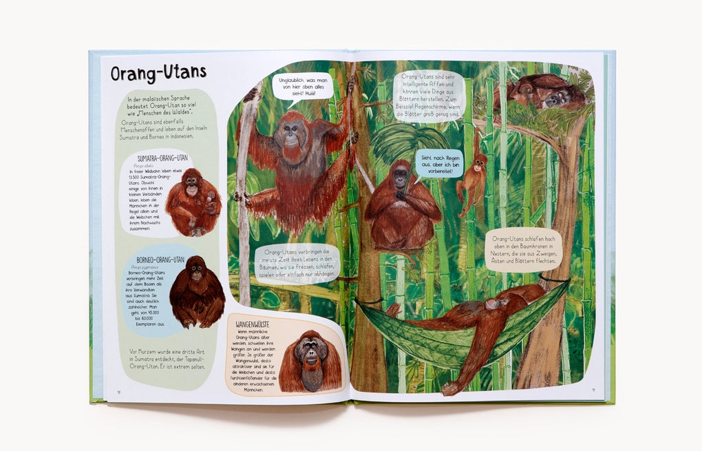 Das Affen-Buch by Frederik Kugler, Katie Viggers