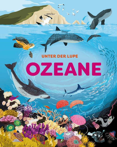 Unter der Lupe: Ozeane by Jon Richards, Josy Bloggs