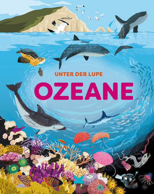 Unter der Lupe: Ozeane by Josy Bloggs, Jon Richards